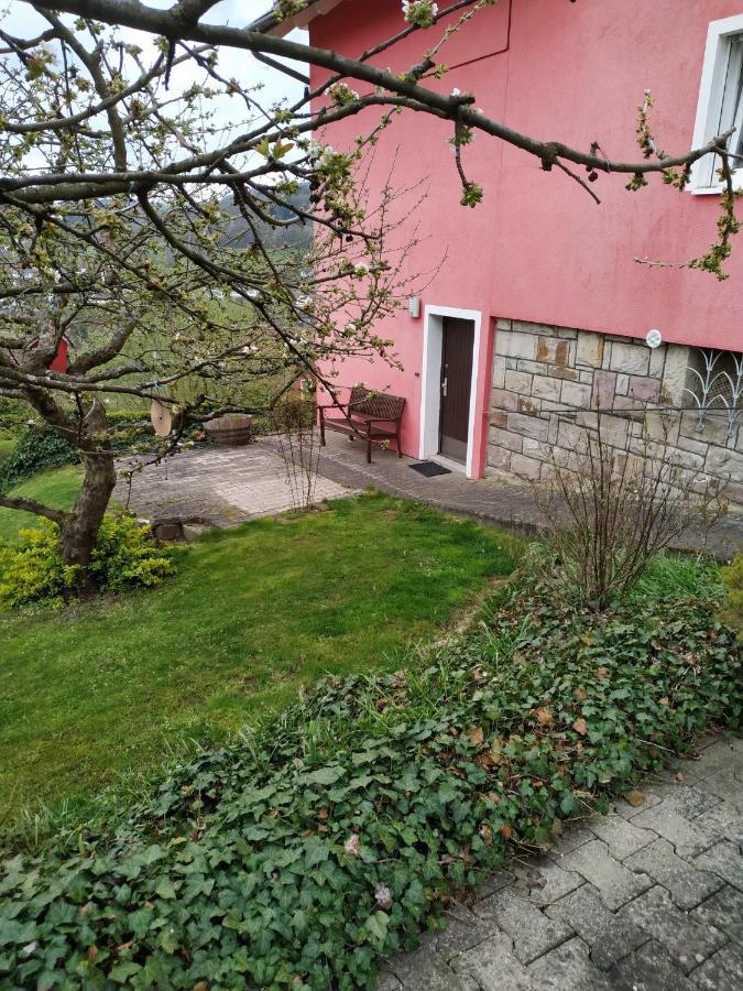 Ferienwohnung Haus Barbara Bad Brückenau 外观 照片